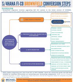 Steps for S/4 HANA FICO Brownfield Conversion