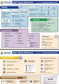 Basic SAP Skills Cheat Sheet