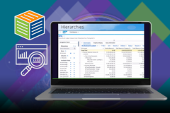 Multidimensional Financial Reporting in SAP S/4HAN...